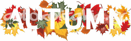 Herbst Schaufensteraufkleber 43 50cm x 16cm