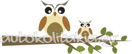Owl Branch Wall Sticker 120cm X 50cm