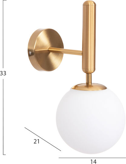 HomeMarkt Homy Leuchte Wand Gold 14cm