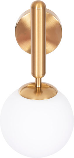 HomeMarkt Homy Leuchte Wand mit Fassung E27 Gold 14cm