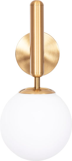 HomeMarkt Homy Leuchte Wand mit Fassung E27 Gold 14cm