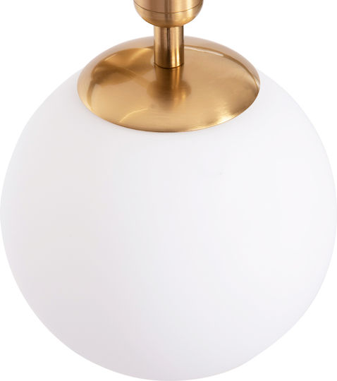 HomeMarkt Homy Leuchte Wand mit Fassung E27 Gold 14cm