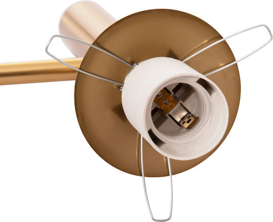 HomeMarkt Homy Leuchte Wand mit Fassung E27 Gold 14cm