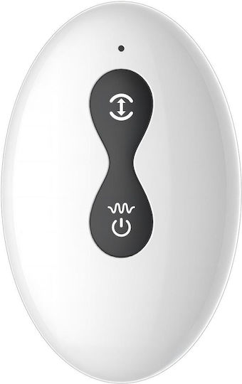 Dual Tapping Anal Vibrator