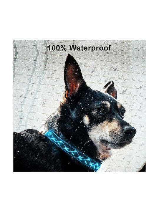 Dog Collar LED Light Reflective Strip USB