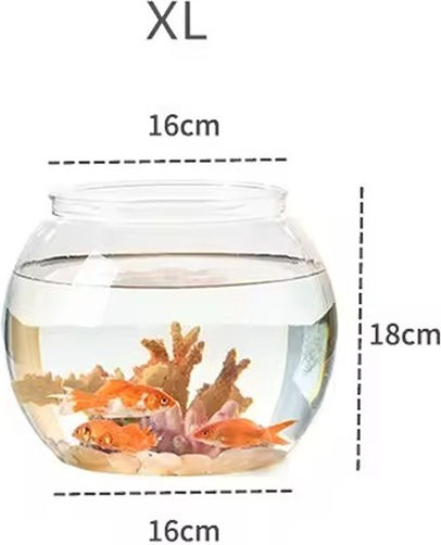 Aquarium Für Fische 22x18x18cm Schwarz