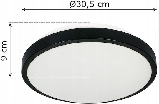 Virone Ceiling Light Bathroom