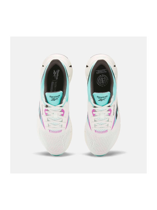 Zig Dynamica 5 Sport Shoes Running White