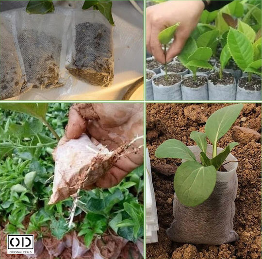 Seed Seedling Germination Bags Vegetables Fruits Premium Biodegradable Material Set 100 Pieces Size 10 X 8 Cm Original Deals