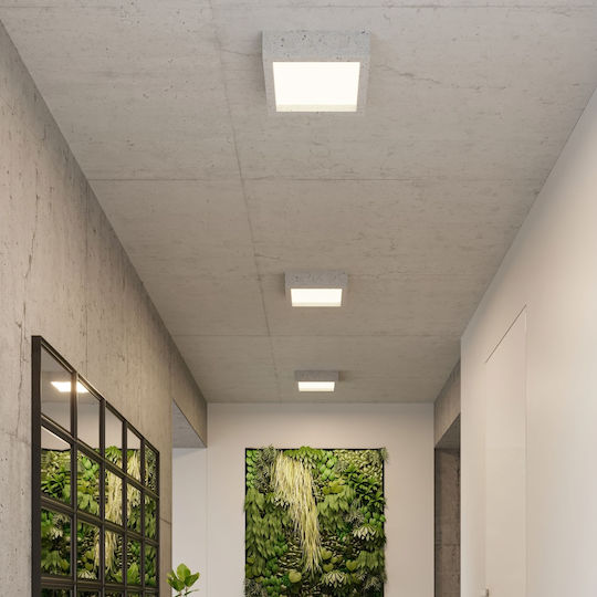 Sollux Riza Deckenleuchte 33cm Gray mit Integrierter LED aus Zement