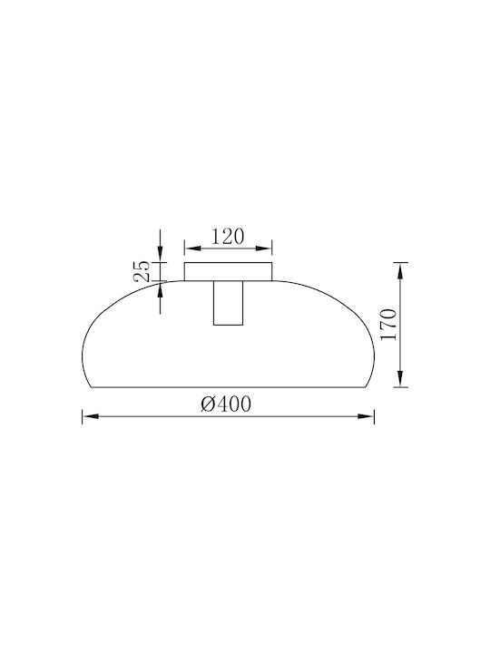 Braytron Ceiling Mount Light Black with Socket E27