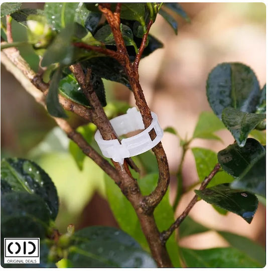 Cleme de Susținere pentru Legarea Lăstarilor de Plante Roșii Castraveți Viță de Vie Compatibilitate Universală Diametru 3 Cm Reutilizabil Set 100 Bucăți Alb Oferte Originale