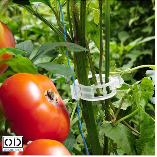 Cleme de Susținere pentru Legarea Lăstarilor de Plante Roșii Castraveți Viță de Vie Compatibilitate Universală Diametru 3 Cm Reutilizabil Set 100 Bucăți Alb Oferte Originale