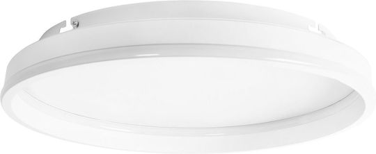 Toolight Ceiling Mount Light