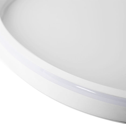 Toolight Ceiling Mount Light