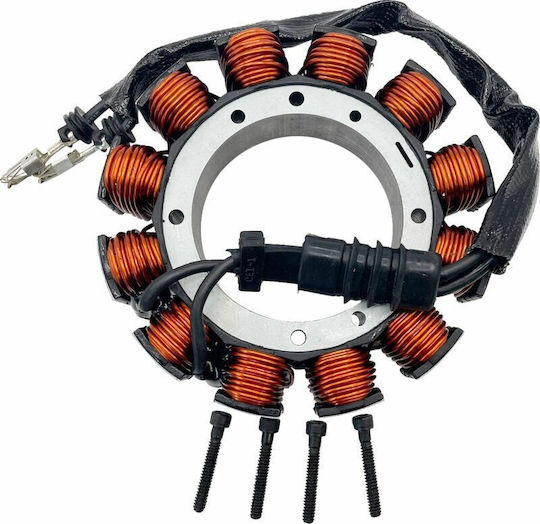 Ricks Motorsport Electric Spulen Motorrad 21-044