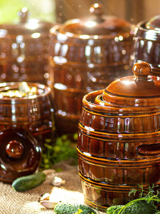 Kadax Oală Rotundă Ceramică 12lt 1buc