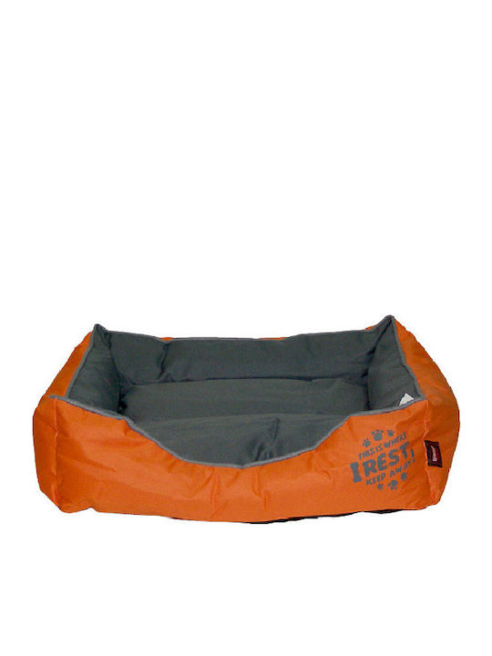 Pet Interest Rectangular