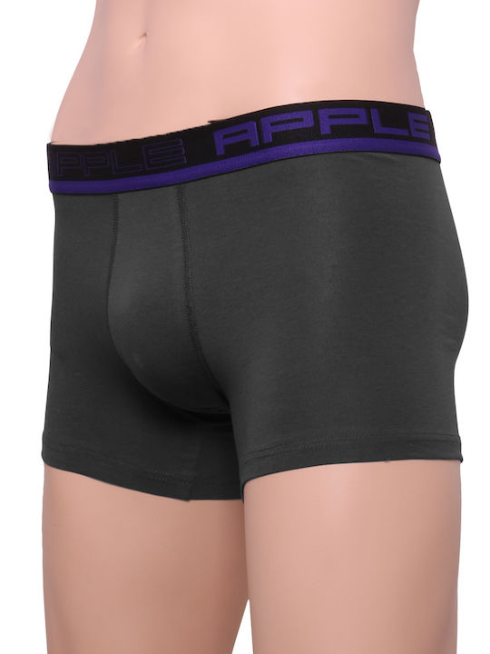 Apple Boxer Men's Boxer Anthracite Mauve