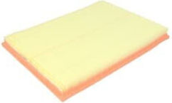 Filtron Air Filter