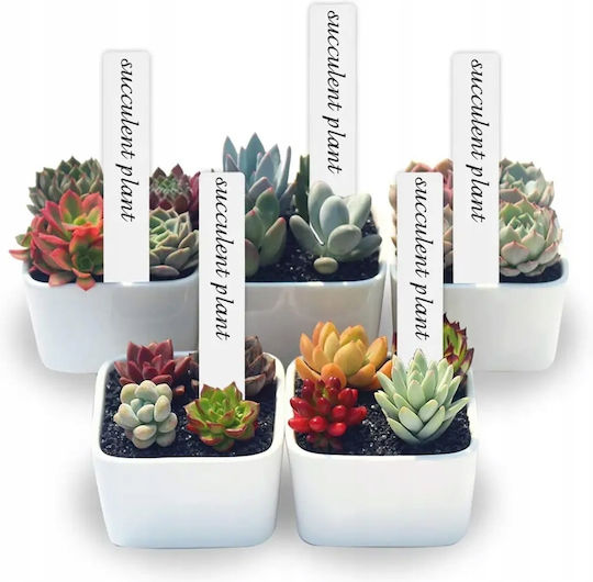 Pflanzenstecker Mehrzweck Gartenetiketten 100 Stück