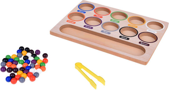 Jokomisiada Sorter Learning Colors Montessori Lernspiel Wissen aus Holz