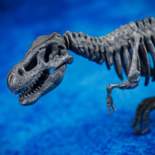 Laboratory Of Paleontology Laboratory I'm a Genius for 7+ years Years Old