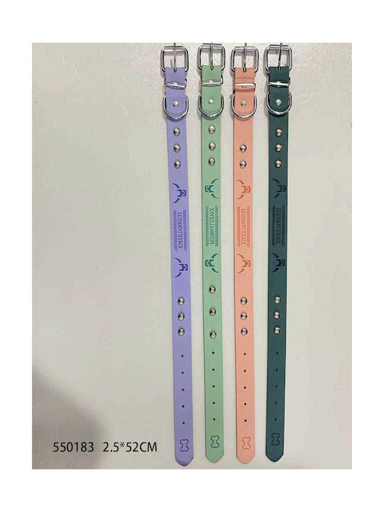 Dog Collar 25mm x 52cm (Various Colors)