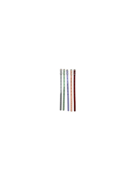 Dog Collar 30mm x 56cm 12pcs (Various Colors)