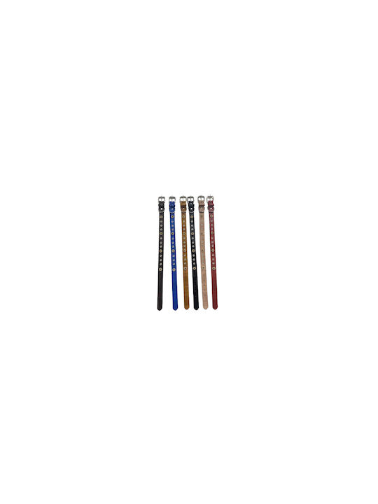 Dog Collar 30mm x 56cm 12pcs (Various Colors)