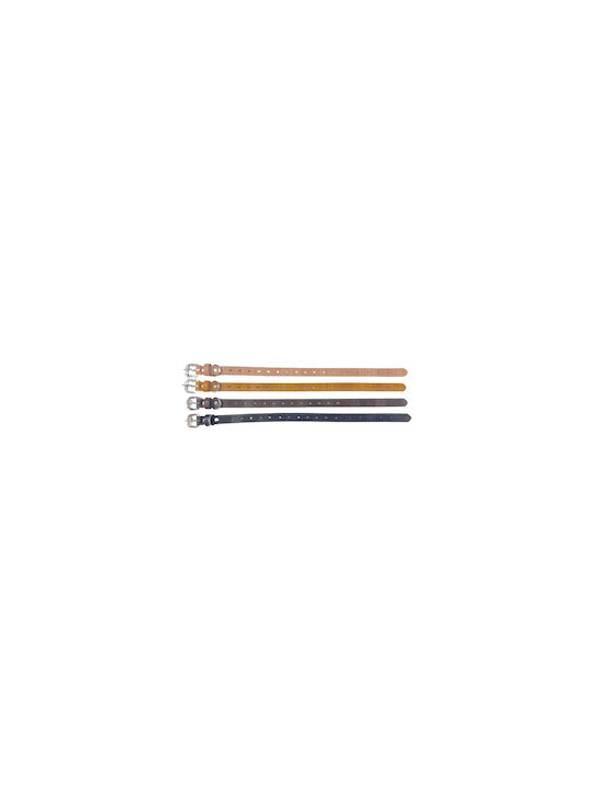 Dog Collar 20mm x 46cm 12pcs (Various Colors)