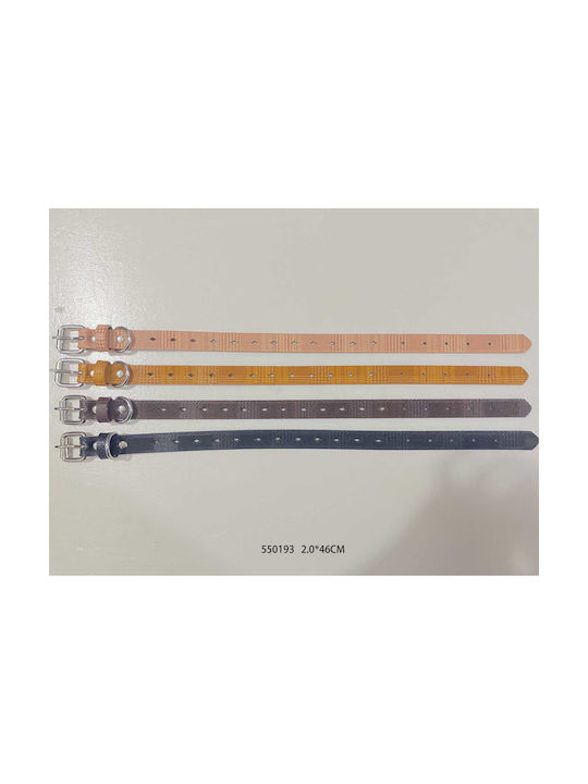 Hundehalsband 20mm x 46cm 12 Stück Verschiedene Farben Hundehalsband 20mm x 46cm 12 Stück Verschiedene Farben