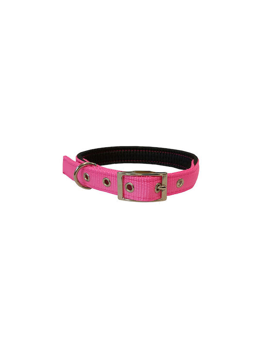 Pet Interest Neoprene Standard