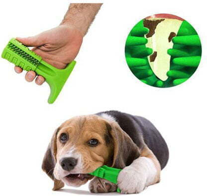 Game Dog Toothbrush