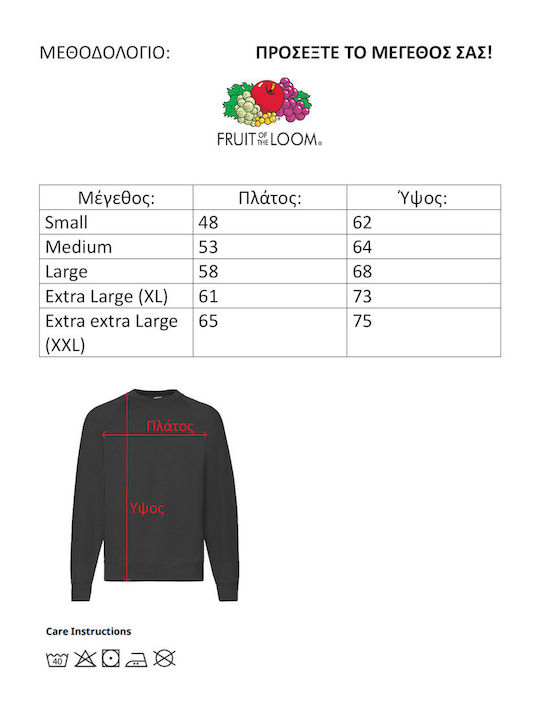 Fruit of the Loom Sweater Pink Panther No1 Суитшърти Сив