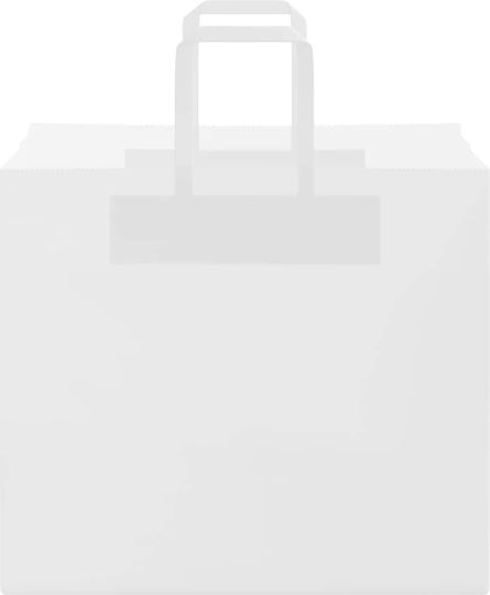vidaXL Paper Bag for Gift White 32x28x22cm. 250pcs