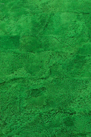 Furry Green Furry Green