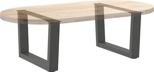 vidaXL Metallisches Möbelbein 2 Stück Für Tisch / Beistelltisch / Büro 60x30cm Anthrazit