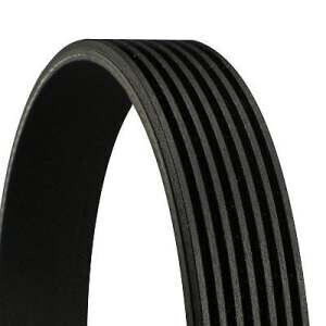 Contitech V-belt