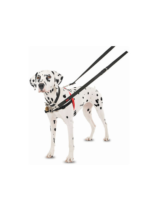 Company of Animals Dog Harness Training Black 372976
