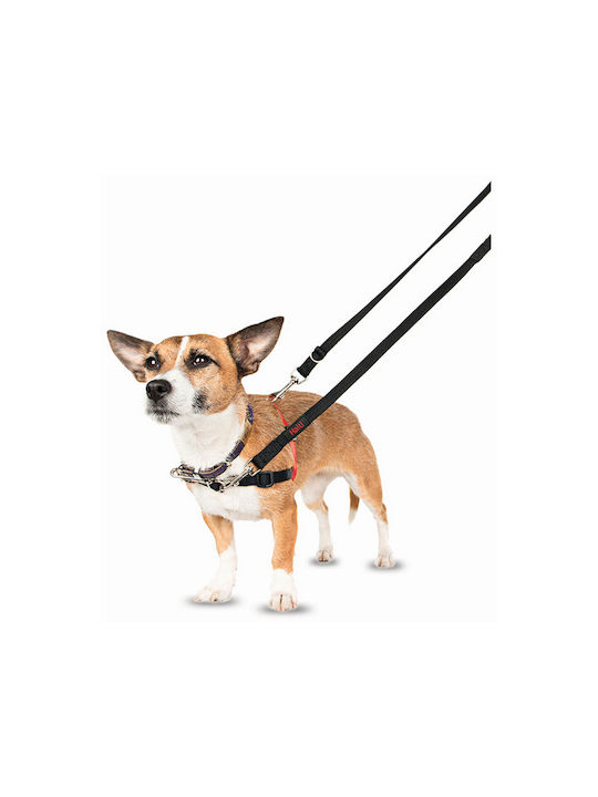 Company of Animals Dog Harness Training Black 372976
