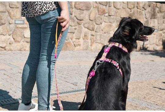 Dashi Каишка/Водач за Куче Каишка Leash в Розов цвят