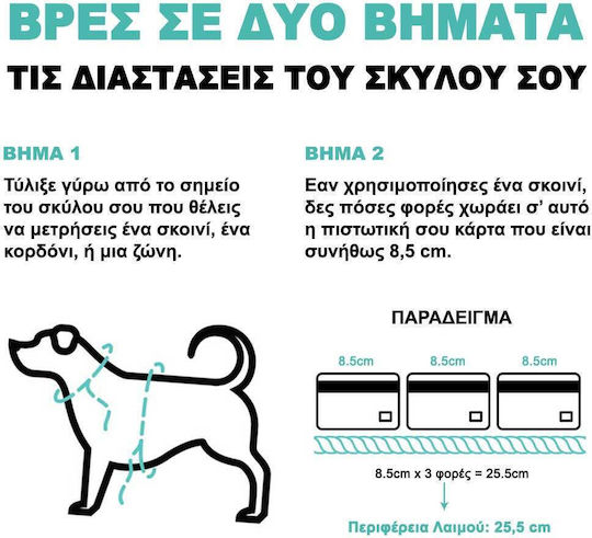 Zee-dog Dog Leash Strap Length 1.20m Width 2.5cm