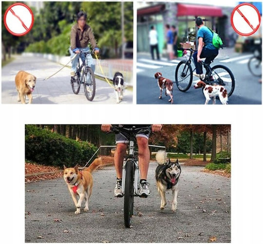Dog Leash/Lead Strap in Black color