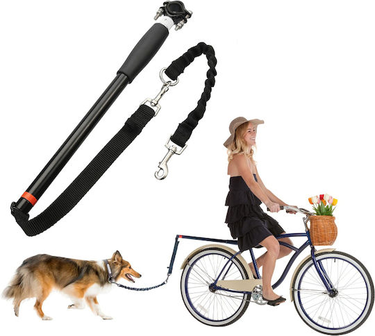 Dog Leash/Lead Strap in Black color