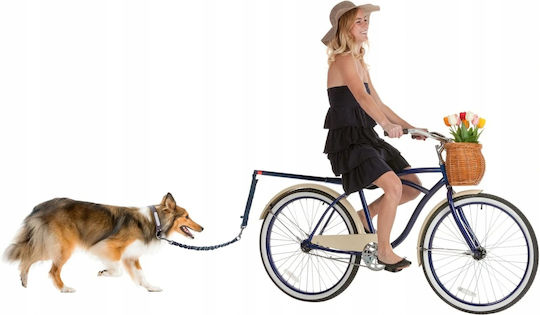 Dog Leash/Lead Strap in Black color