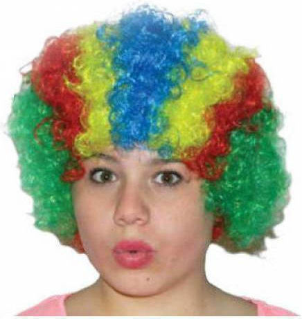 Carnival Wig Hippie Curly Multicolour