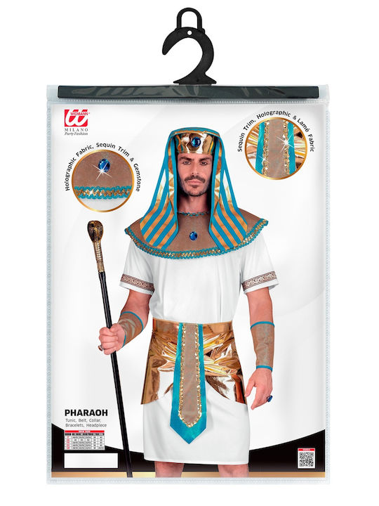 Carnival Costume Deluxe