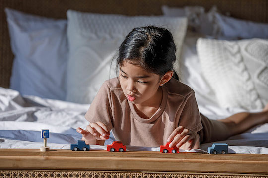 Plan Toys Σετ Αυτοκινητάκια για 3+ Ετών