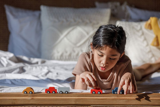 Plan Toys Σετ Αυτοκινητάκια για 3+ Ετών
